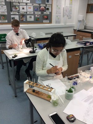 Biology a level practical on photosynthesis 1