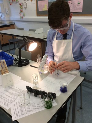Biology a level practical on photosynthesis 2