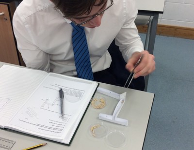 Biology animal behaviour practical
