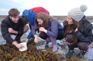 Biology field trip to isle of wight 1