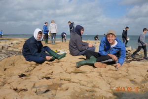 Biology field trip to isle of wight 4