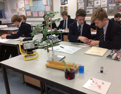 Biology transport in plants 1