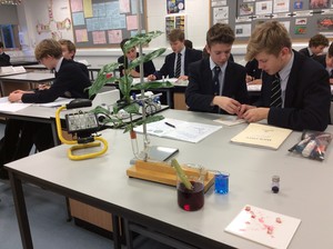 Biology transport in plants 1