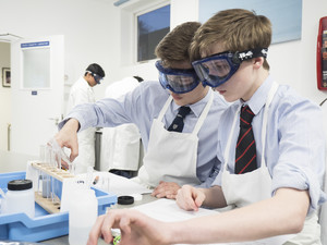 Top of the bench competition 1