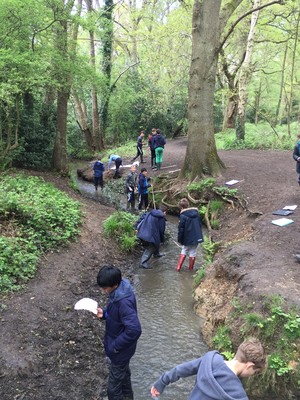 First form visit arbrook common