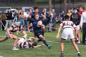 Rugby gallery 10